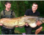 Cardiff fishing - Huge catfish